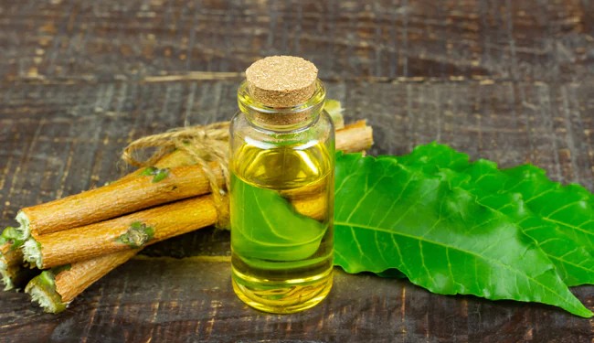 Top 8 Advantages Of Neem Oil For Hair And Skin