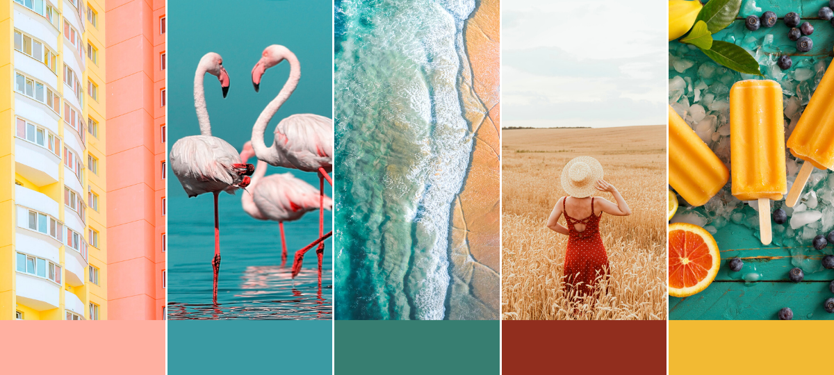 5 Summer Color Palettes You Ought To Incorporate into Your Layouts This Season