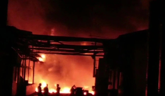 6 Killed, 12 Injured After Fire Breaks Out At Andhra Pradesh Pharma Unit