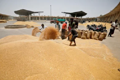 At UN, India's Hard Protection of Wheat Export Ban, Covid Stab Swipe At West