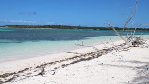 CDC adds 5 new destinations to ‘high’ danger category for traveling, consisting of the Bahamas