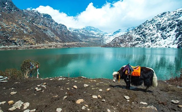 Top 7 Places In Sikkim To Visit RN For A Mesmerising Experience