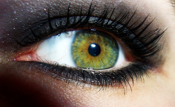 Makeup Beginner? 5 Must-Have Dual Eyeshadow Sticks To Create Quick & Stunning Eye Looks