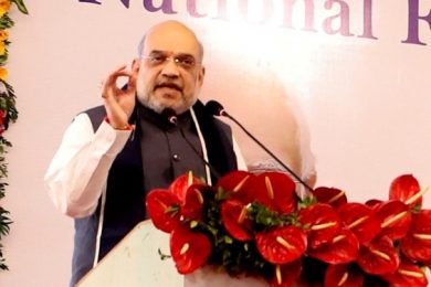 "Want To Make One Thing Very Clear...": Amit Shah On Hindi Language Stand
