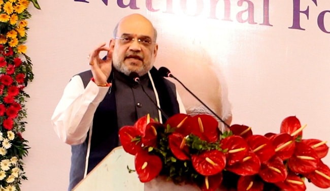 "Want To Make One Thing Very Clear...": Amit Shah On Hindi Language Stand