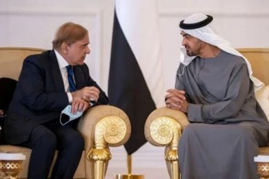 UAE President meets PM today