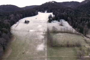 Climate Change Saved Europe From Putin This Winter