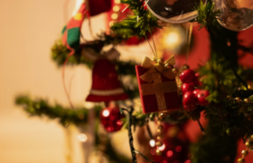 Christmas Spirit Shines Across America as Communities Celebrate