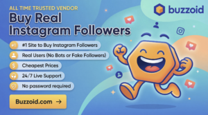 1) Buzzoid Instagram Followers