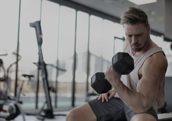 What Are the Best Workout Routines for Beginners?